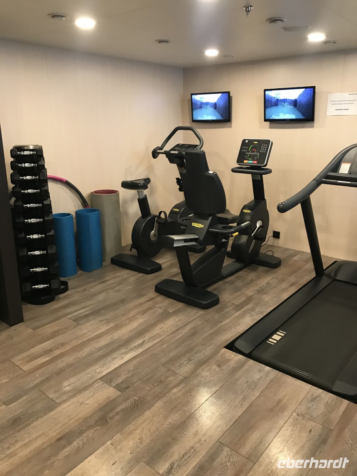 7.5.24 kleiner Fitnessraum - 2 Räder, 2 Laufbänder, Handeln und Matten