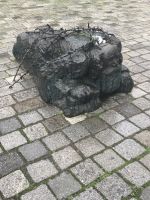 8.5.24 Wien -  Helmut- Zilk- Platz; Mahnmal gegen Krieg und Faschismus