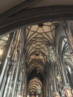 8.5.24 Wien - Domkirche St. Stephan 