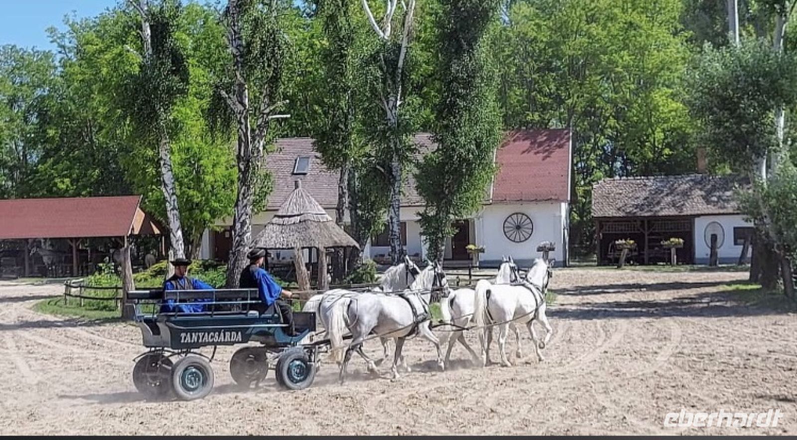 10.5.24 Budapest   Puszta