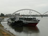 Unser Schiff in Novi Sad