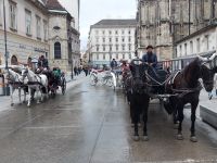 2024 Donaukreuzfahrt: Wien - Fiaker