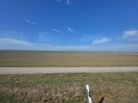 2024 Donaukreuzfahrt: Fahrt durch die Puszta