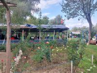 2024 Donaukreuzfahrt: Donaudelta - Mittagspause