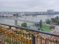 2024 Donaukreuzfahrt: Novi Sad - Festung, Blick auf den Anleger