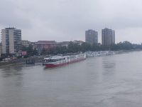 2024 Donaukreuzfahrt: Novi Sad - Liegeplatz der Belvedere