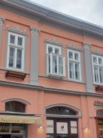 2024 Donaukreuzfahrt: Novi Sad - typischer Guck-Kasten