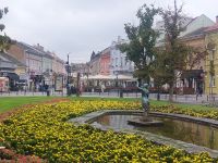 2024 Donaukreuzfahrt: Novi Sad - Donaustraße