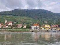 2024 Donaukreuzfahrt:  Wachau - Spitz, 1.000 Eimerberg
