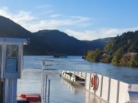 2024 Donaukreuzfahrt:  Donau, Fahrt Richtung Linz