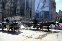 Die beliebten Fiaker