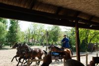 Akrobatische Leistungen