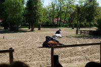 Vorführung durch Reiter