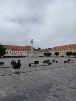 zentraler Platz mit Pestsäule u. Militärgebäuden
