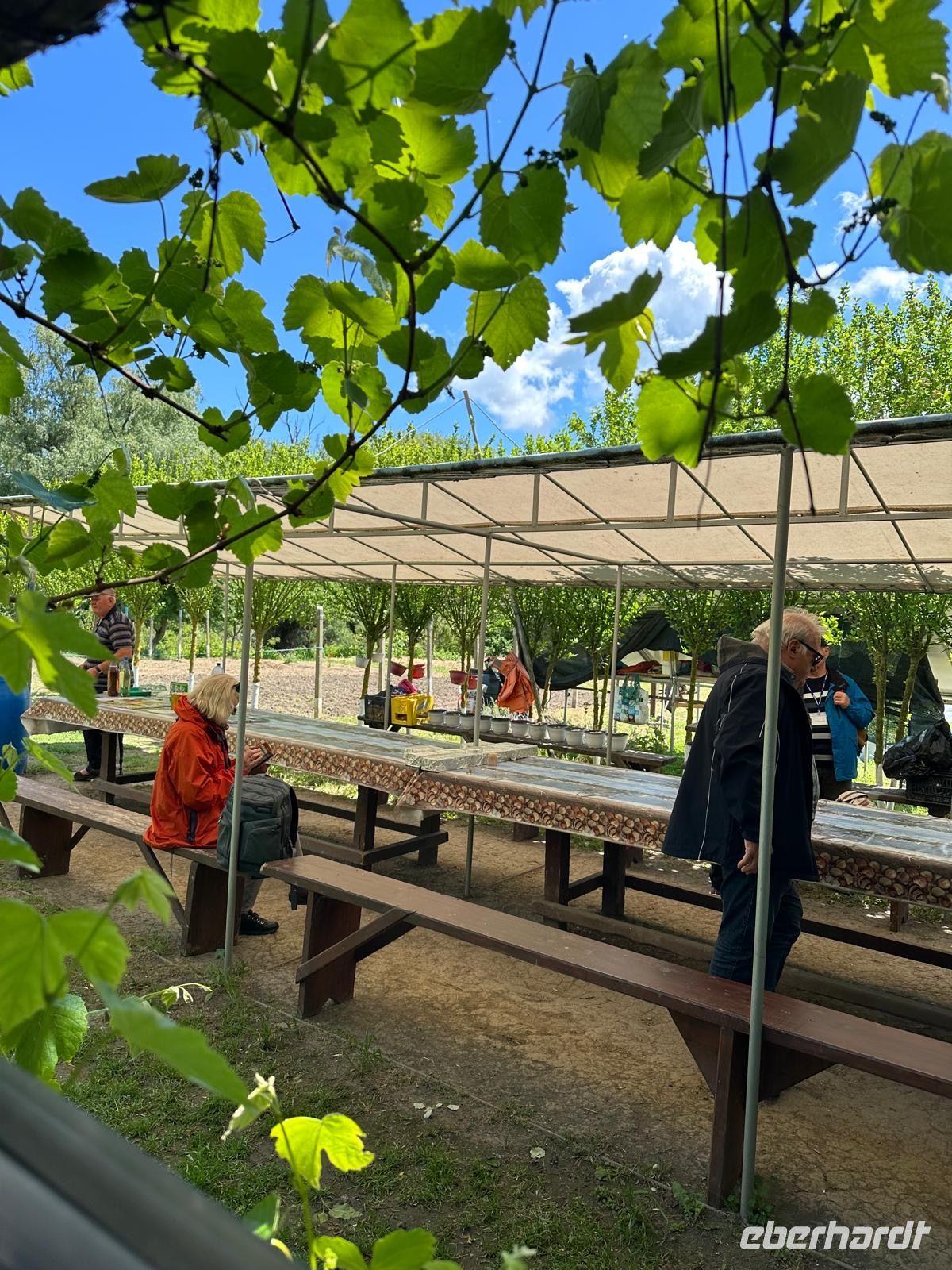 die Schnellboote legen einen Stopp in einem Privatgarten an