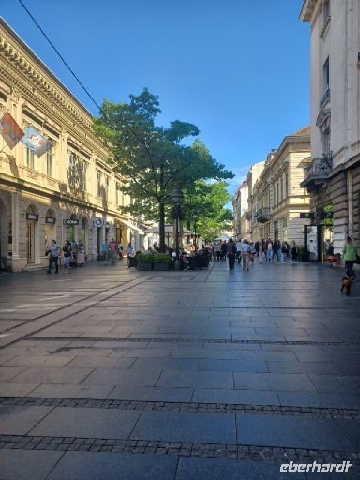 die Hauptgeschäftsstraße der Altstadt von Belgrad