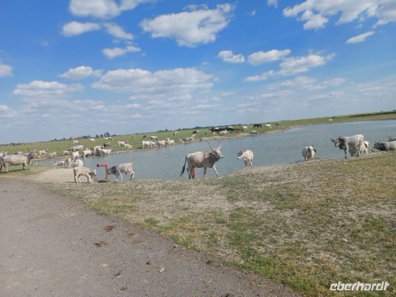Trinkwasser in der Steppenlandschaft