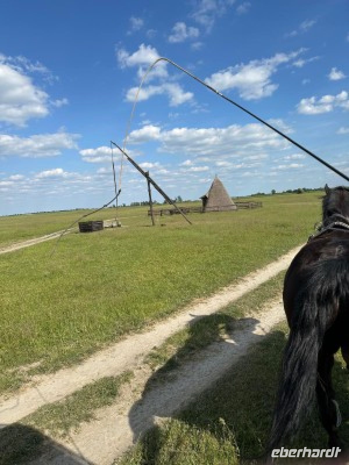 mit der Kutsche über Weiden -ein typischer Ziehbrunnen