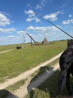 mit der Kutsche über Weiden -ein typischer Ziehbrunnen