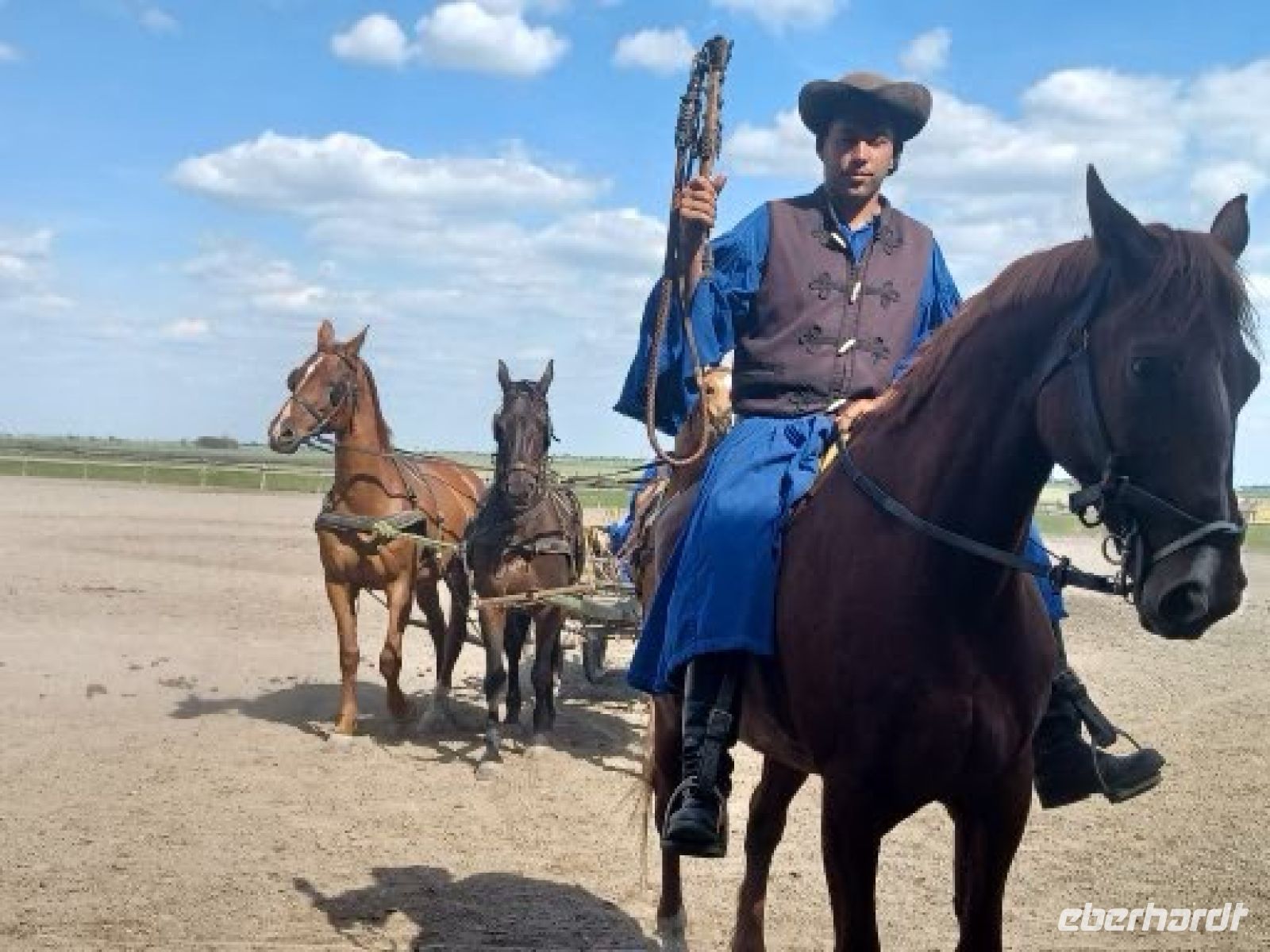 verschiedene Pferdegespanne fahren auf