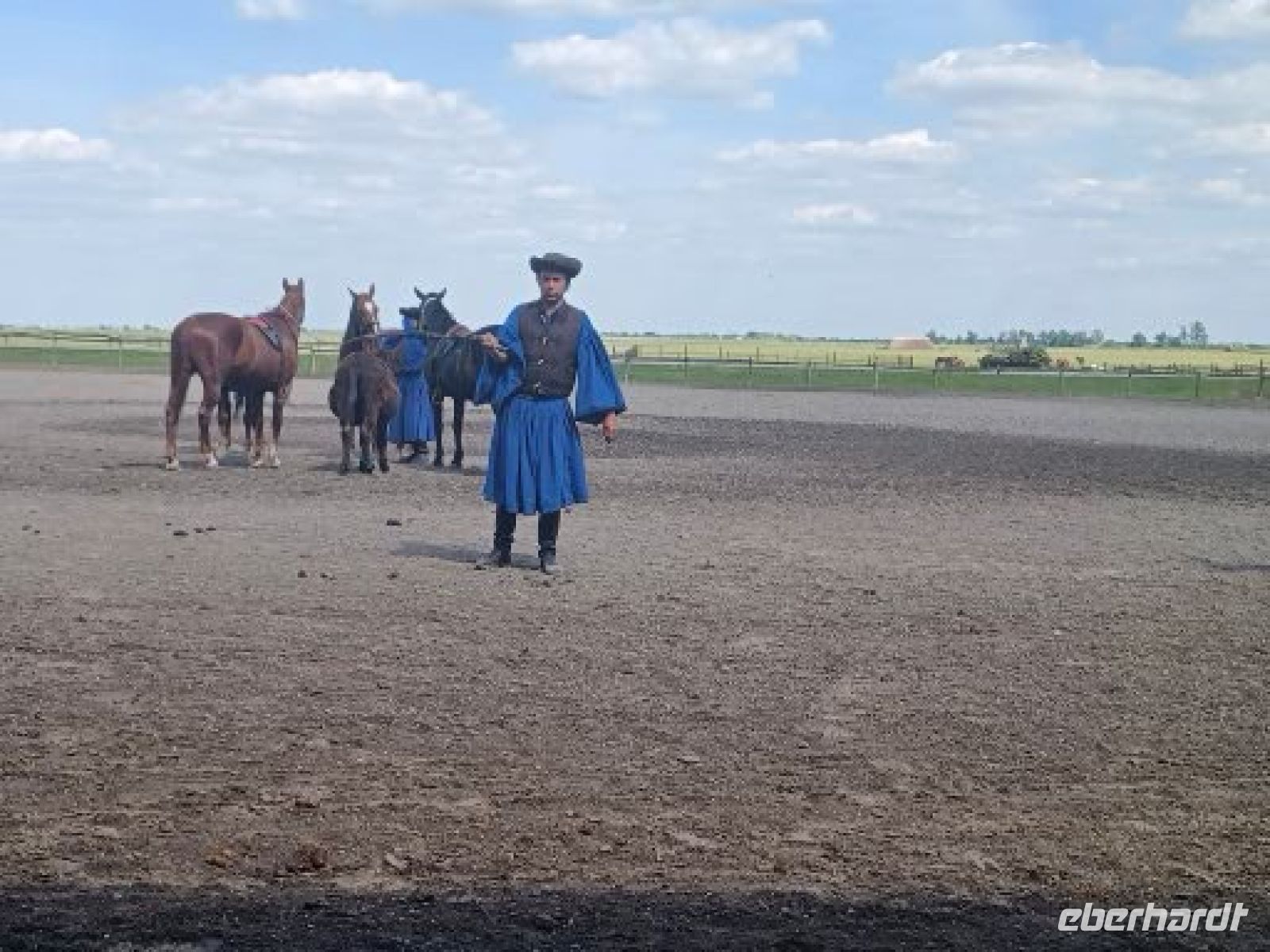die Pferdepeitsche wird im Takt geschwungen