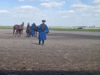 die Pferdepeitsche wird im Takt geschwungen