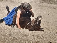 auch der Eseltreiber hat sein Tier fest im Griff