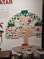 Paprikasorten von süß bis scharf