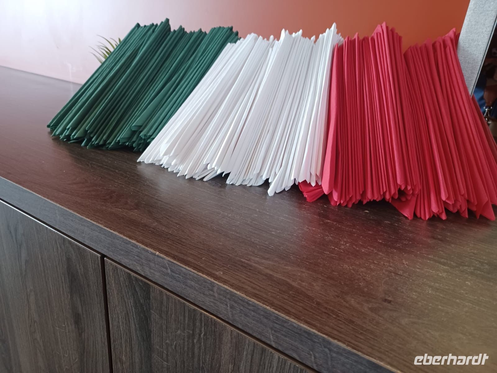 Heute steht Ungarn im Mittelpunkt