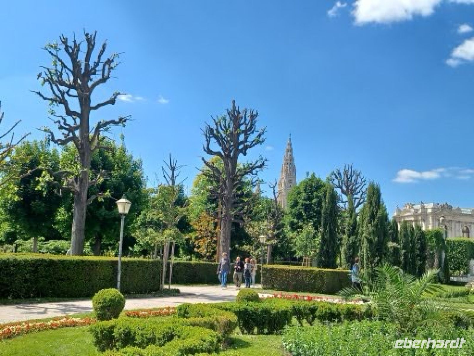 Parkallee im Volksgarten
