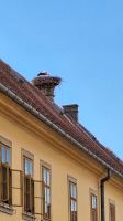 Überall Störche auf den Dächern &ndash; &copy; Andreas Kunzmann (Eberhardt TRAVEL)