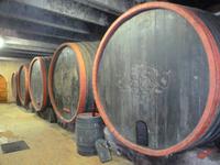 Weinfässer in Hajos