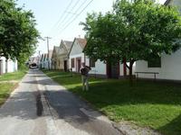 in Hajos, dem Weindorf