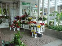 Russe- hier gab es Blumenstände