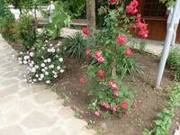 Felsenkloster Basarbovo