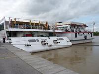 ARosa Mia und Rossini