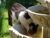 	 Felsenkloster „St. Dimitrij Basarbovski”