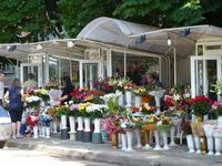 Blumenhändler in Russe