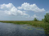 Biosphärenreservat Donaudelta