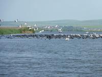 Biosphärenreservat Donaudelta