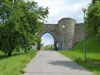 Burg Devín (deutsch Burg Theben/Thebener Burg, slowakisch Devínsky hrad oder Hrad Devín)