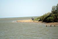DSC08528