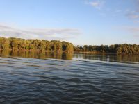 Donau