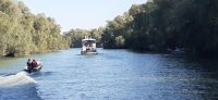 Donaudelta