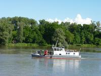 Donauimpressionen