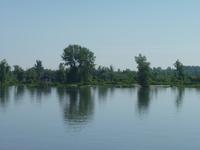 Donauimpressionen