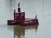 Donauimpressionen02.JPG