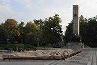 Vidin