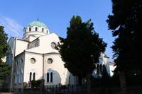 Vidin
