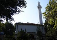 Vidin